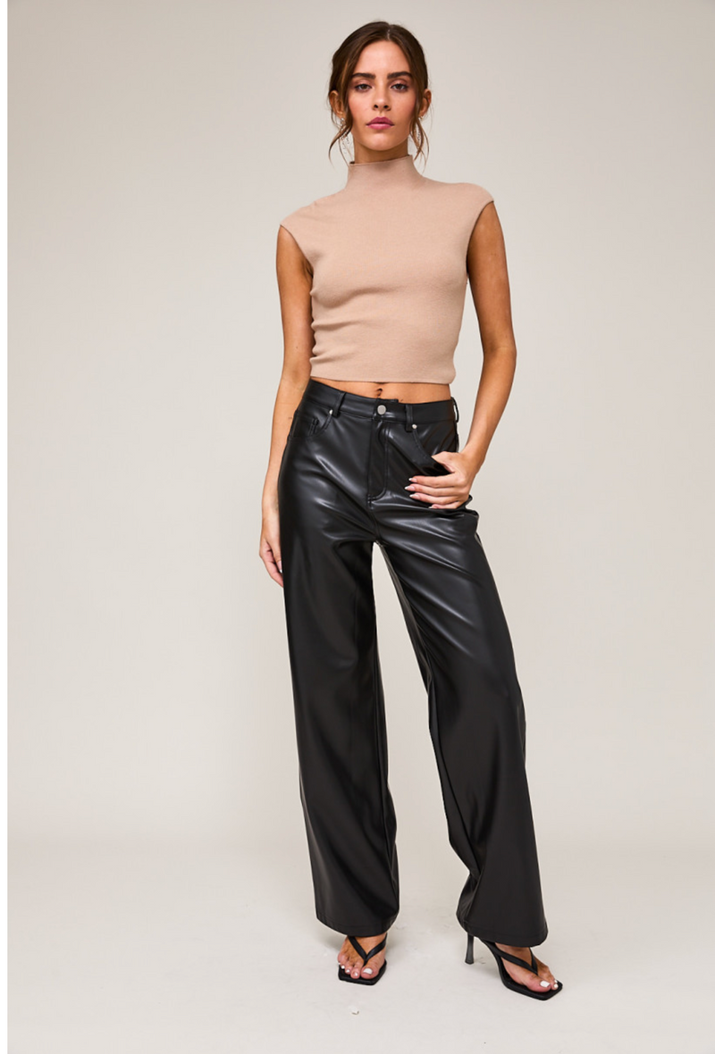 Black  Faux Leather Pants