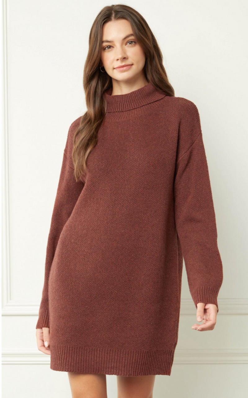 Cinnamon Turtleneck Sweater Dress